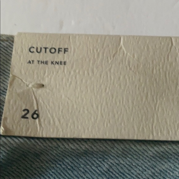 American Eagle shorts - Picture 9 of 11